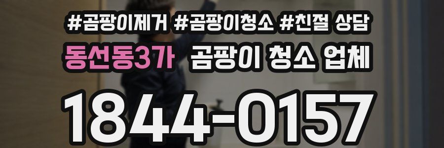 동선동3가 곰팡이 청소 업체
