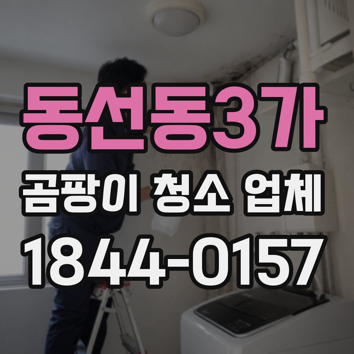 동선동3가 곰팡이 청소 업체