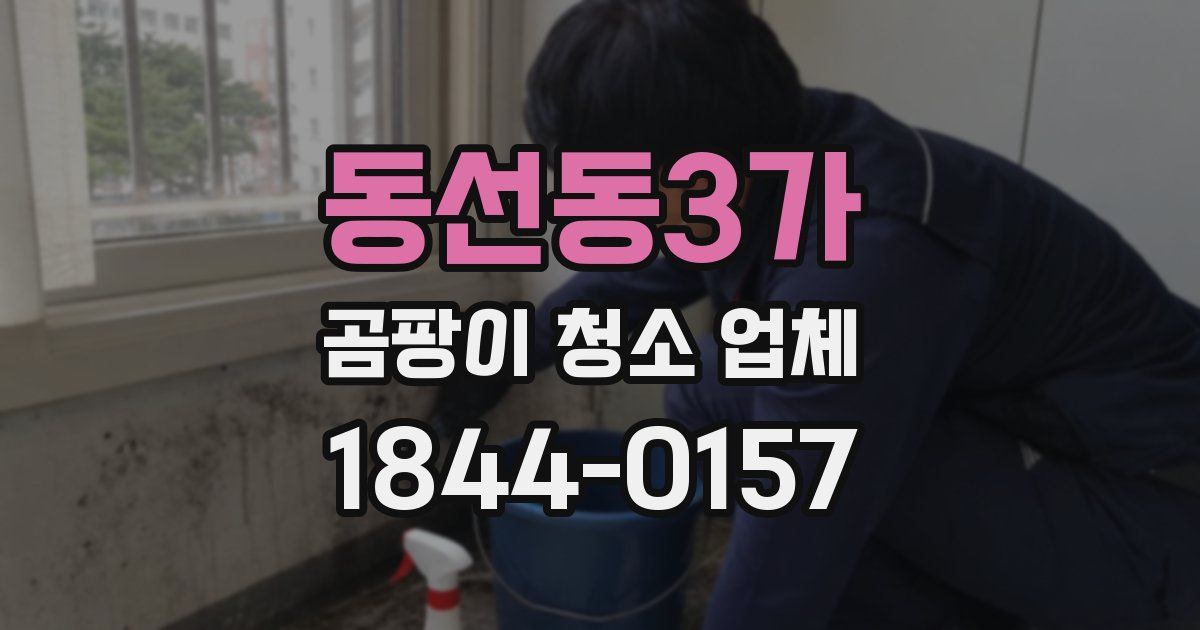 동선동3가 곰팡이 청소 업체