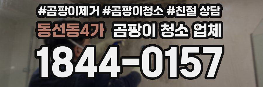동선동4가 곰팡이 청소 업체