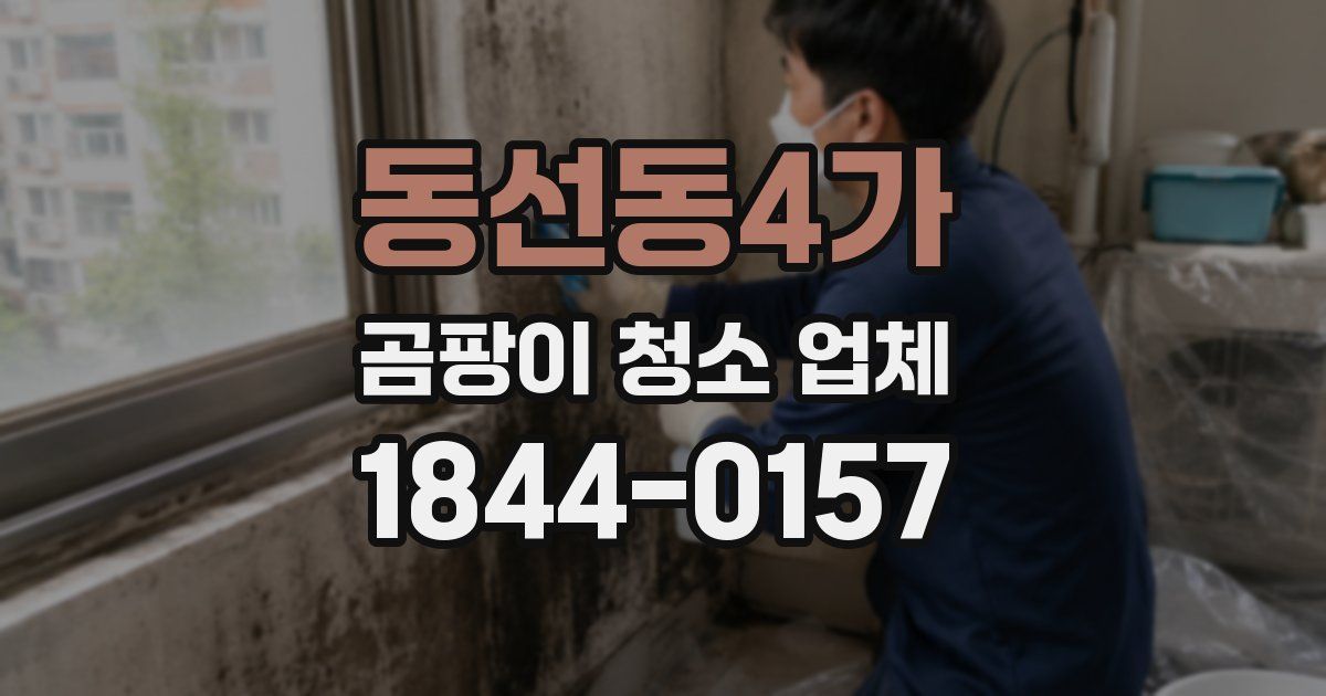 동선동4가 곰팡이 청소 업체