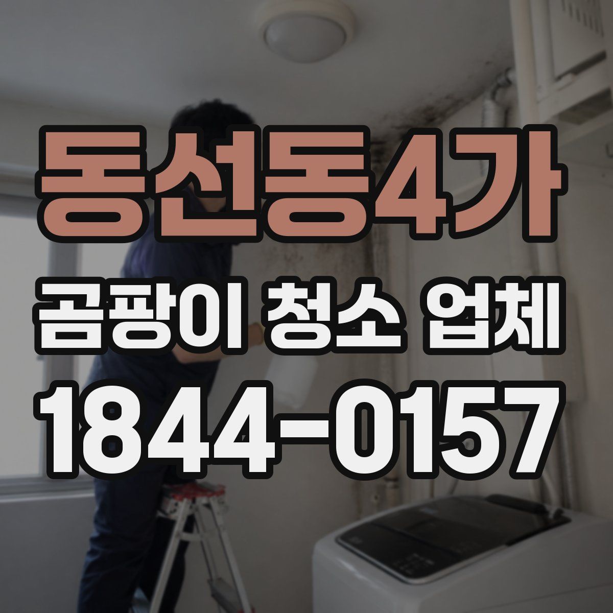 동선동4가 곰팡이 청소 업체