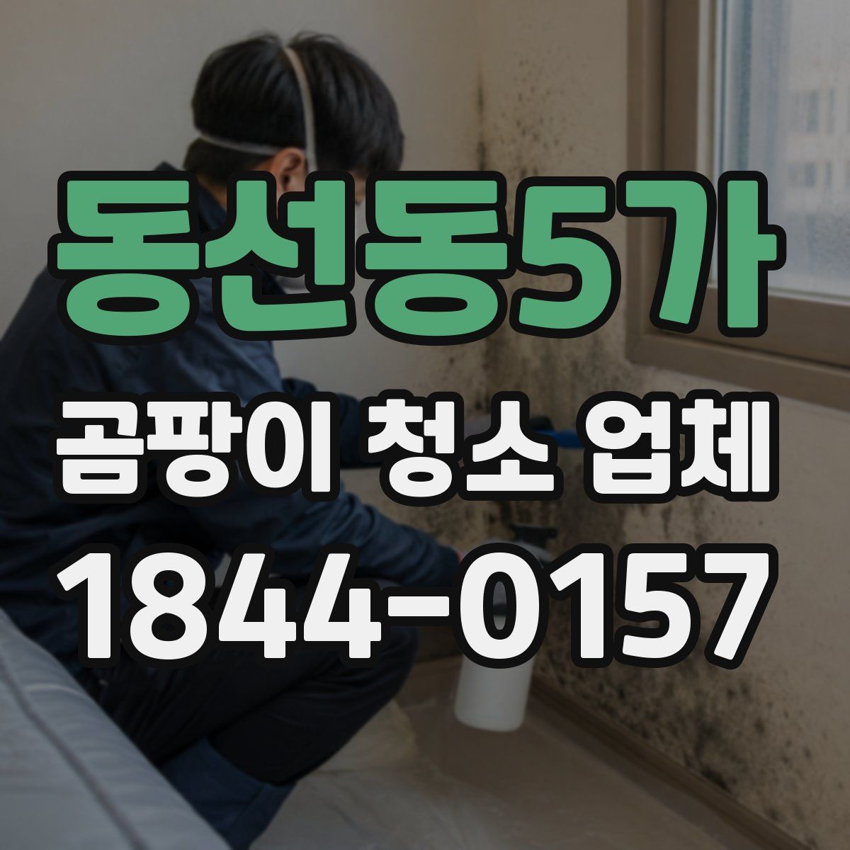 동선동5가 곰팡이 청소 업체