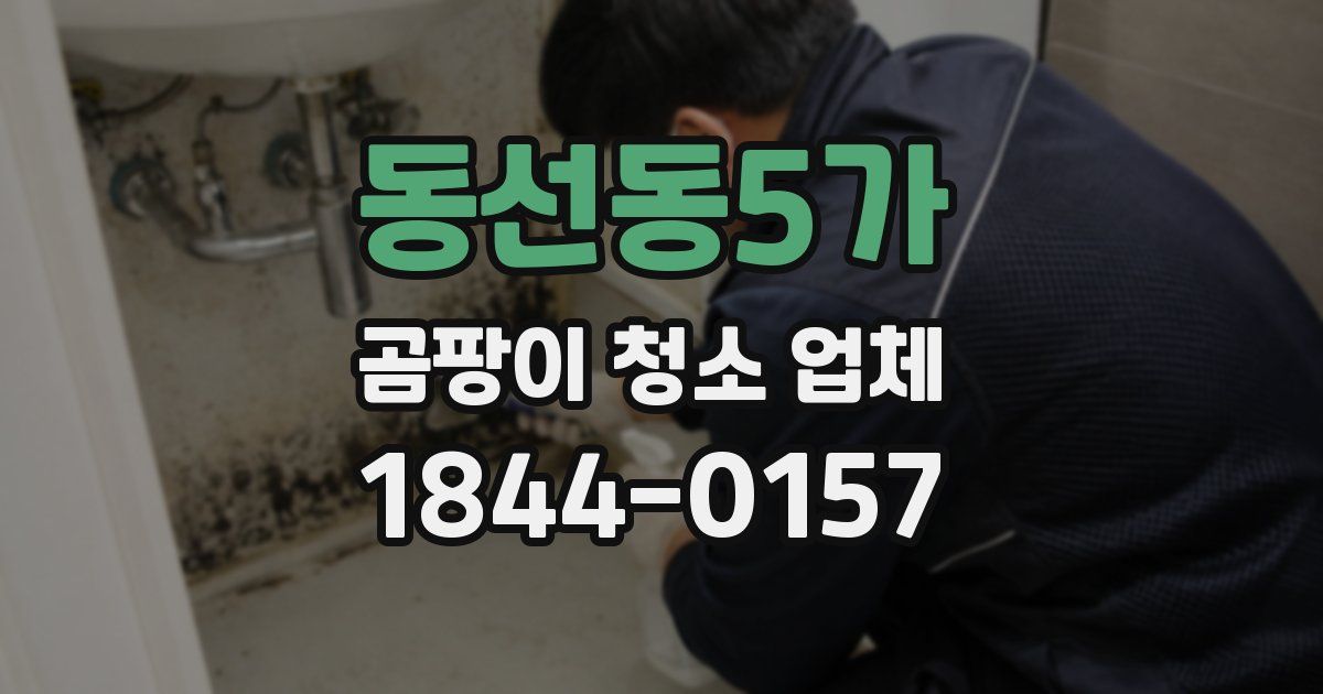 동선동5가 곰팡이 청소 업체