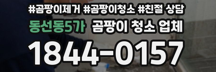 동선동5가 곰팡이 청소 업체