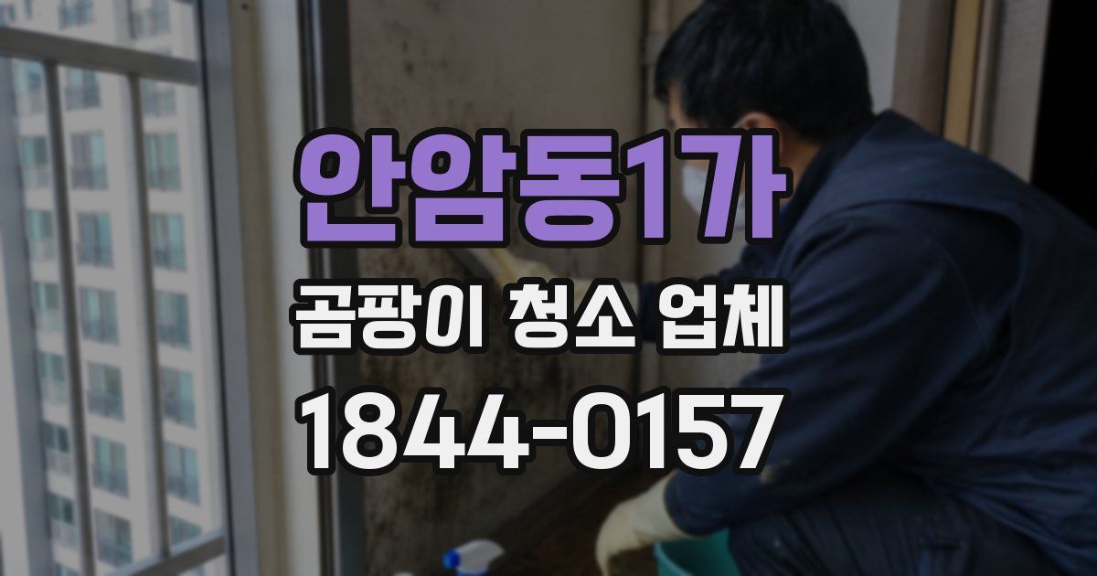 안암동1가 곰팡이 청소 업체