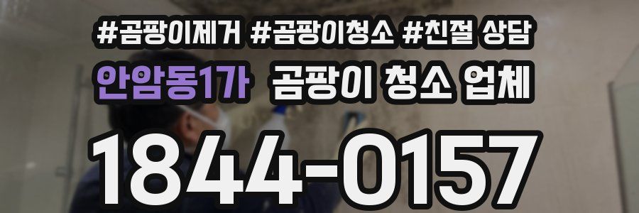 안암동1가 곰팡이 청소 업체