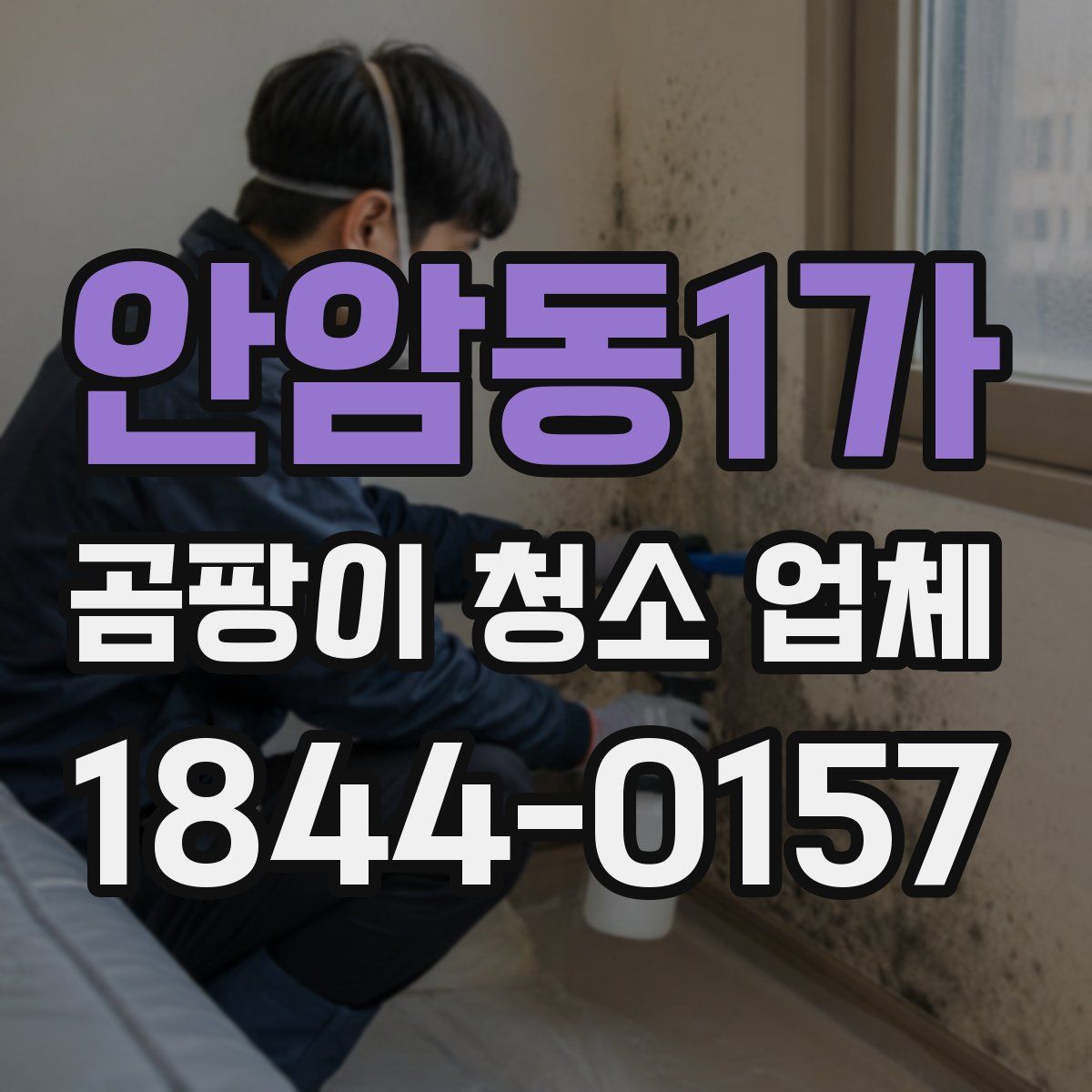 안암동1가 곰팡이 청소 업체