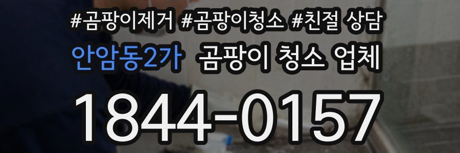 안암동2가 곰팡이 청소 업체