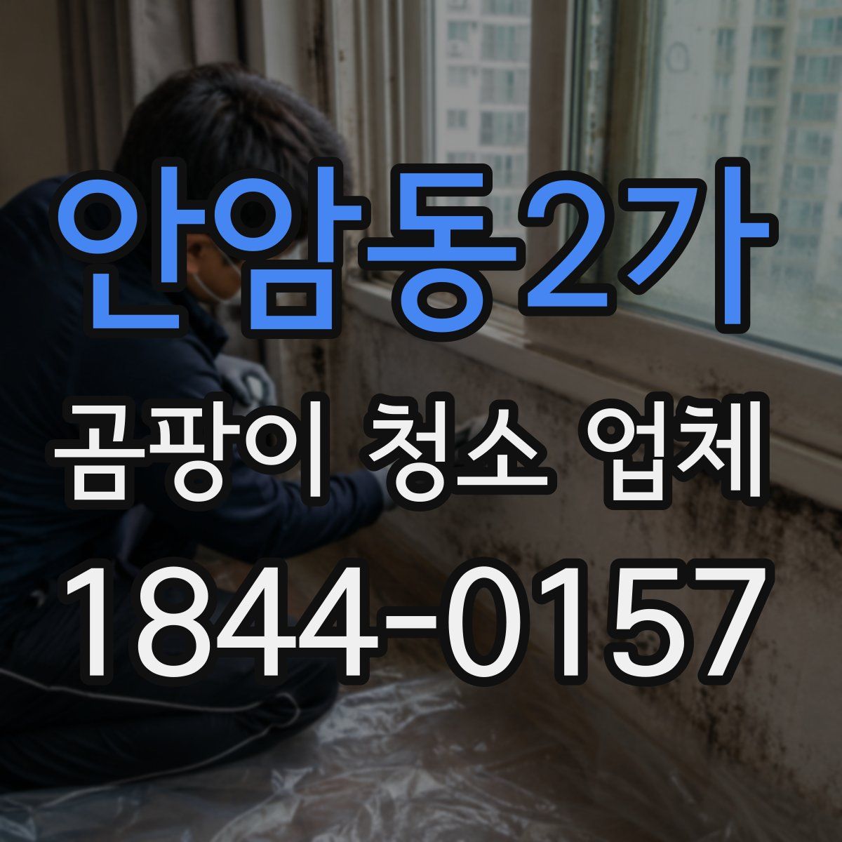 안암동2가 곰팡이 청소 업체