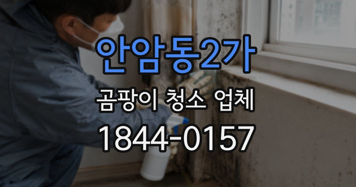 안암동2가 곰팡이 청소 업체
