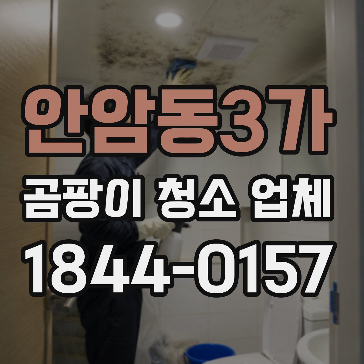 안암동3가 곰팡이 청소 업체