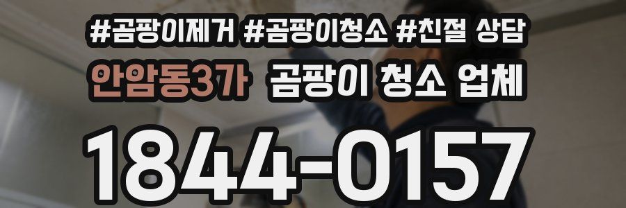 안암동3가 곰팡이 청소 업체
