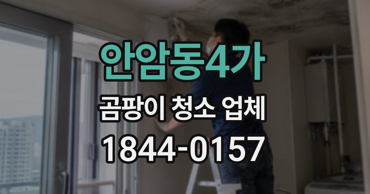 안암동4가 곰팡이 청소 업체