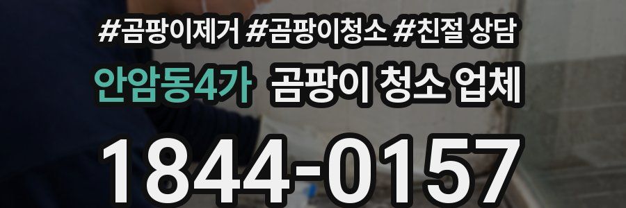 안암동4가 곰팡이 청소 업체