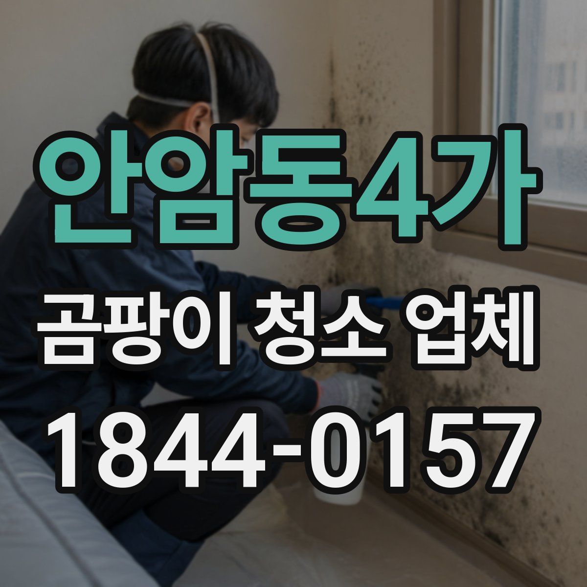 안암동4가 곰팡이 청소 업체