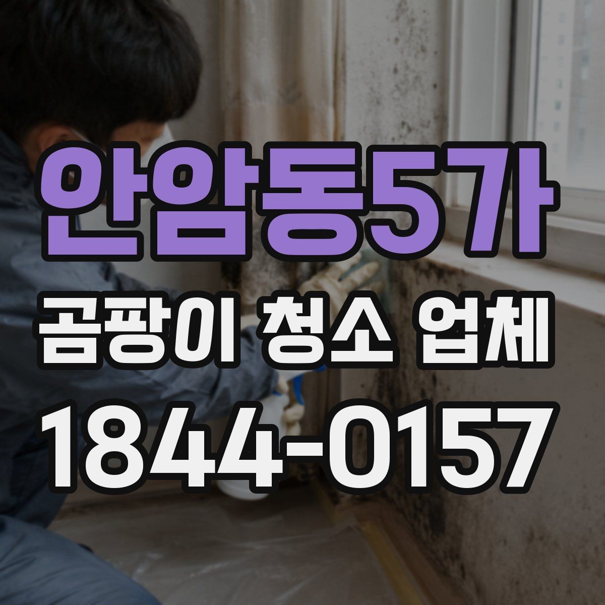 안암동5가 곰팡이 청소 업체 이용 시 피해야 할 실수
