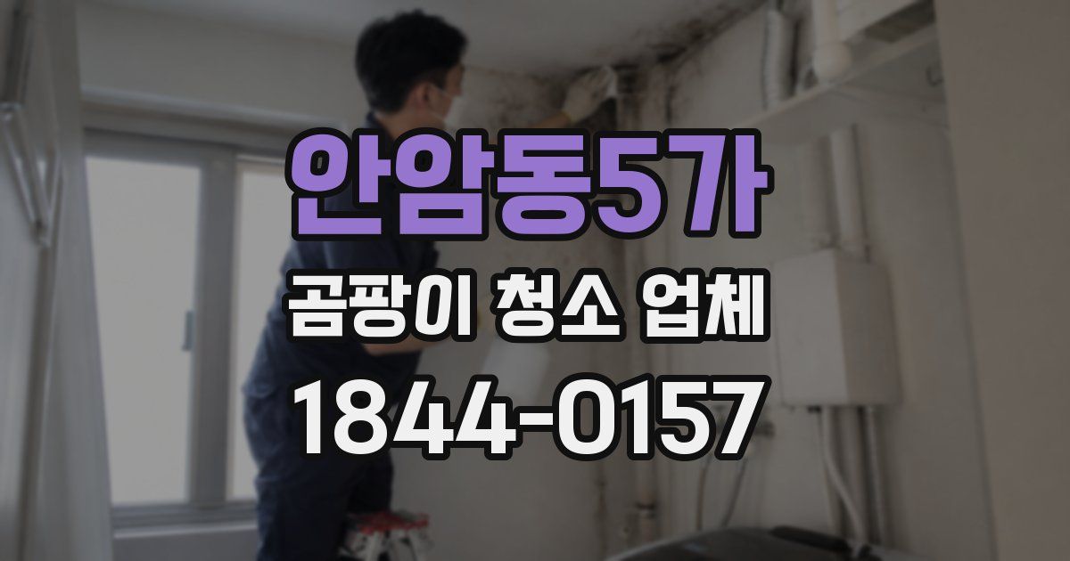 안암동5가 곰팡이 청소 업체