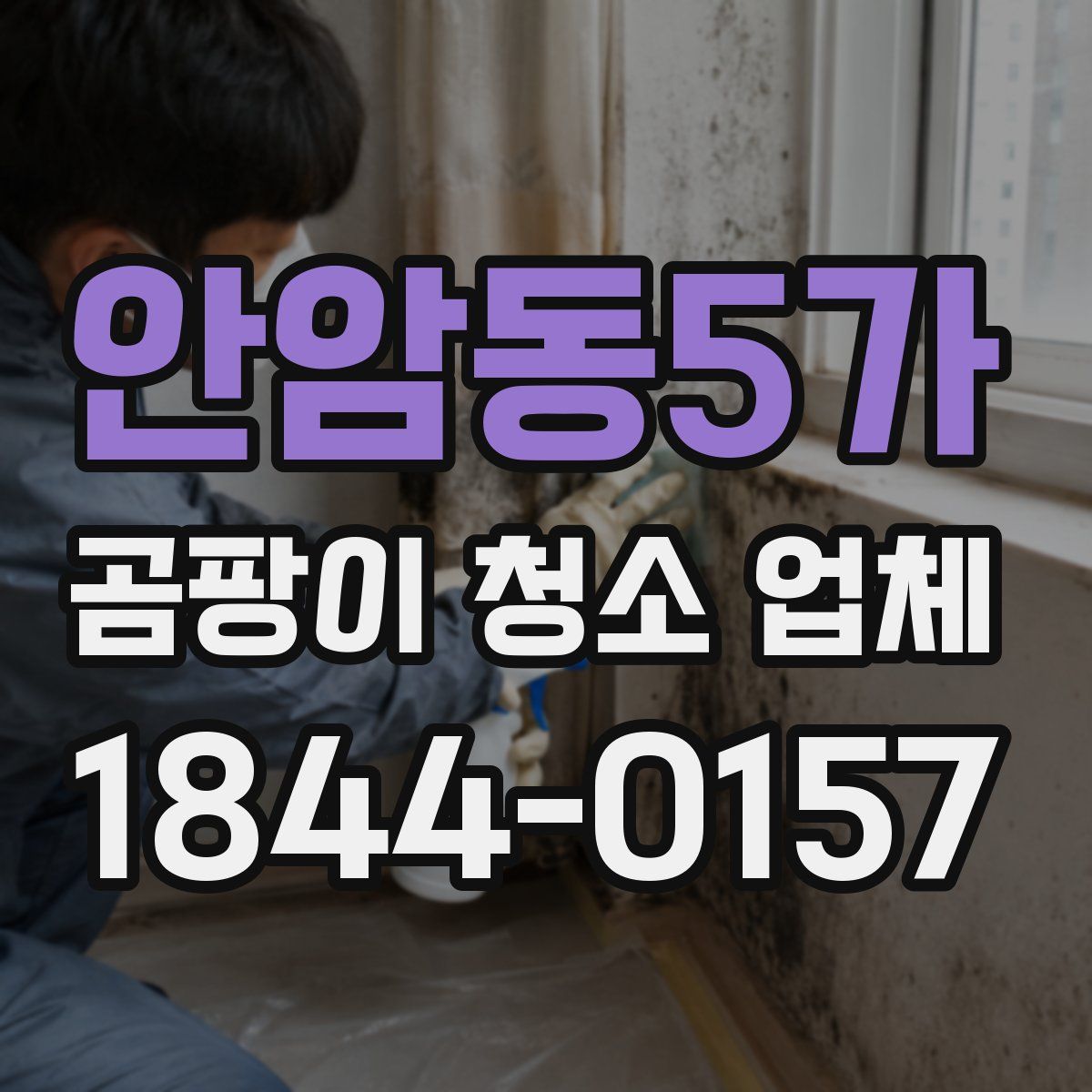 안암동5가 곰팡이 청소 업체