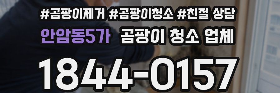 안암동5가 곰팡이 청소 업체