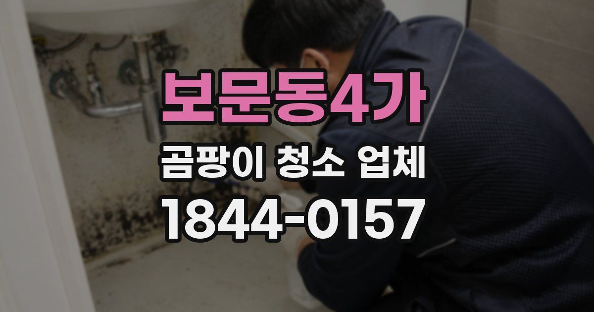 보문동4가 곰팡이 청소 업체