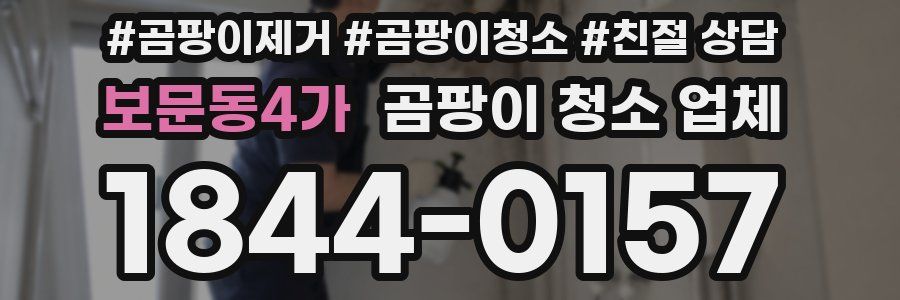 보문동4가 곰팡이 청소 업체