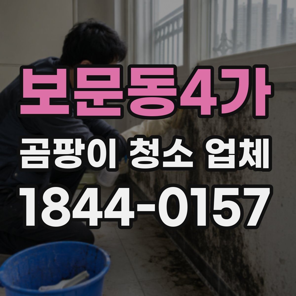 보문동4가 곰팡이 청소 업체