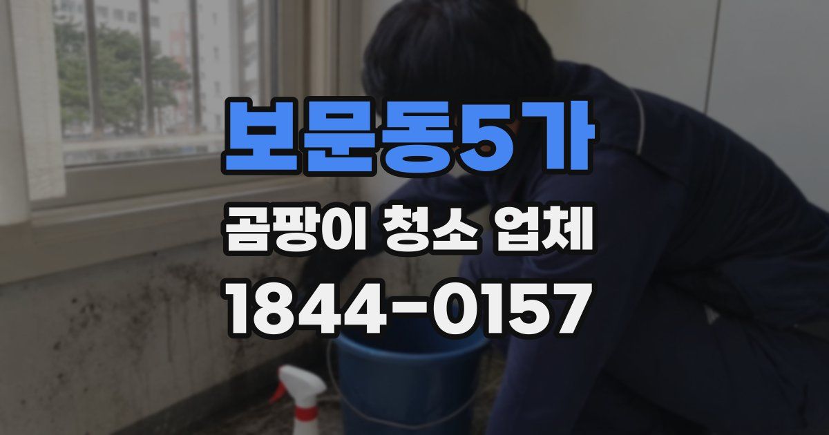 보문동5가 곰팡이 청소 업체