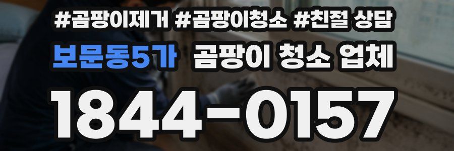 보문동5가 곰팡이 청소 업체