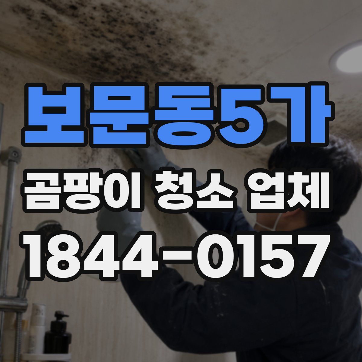보문동5가 곰팡이 청소 업체