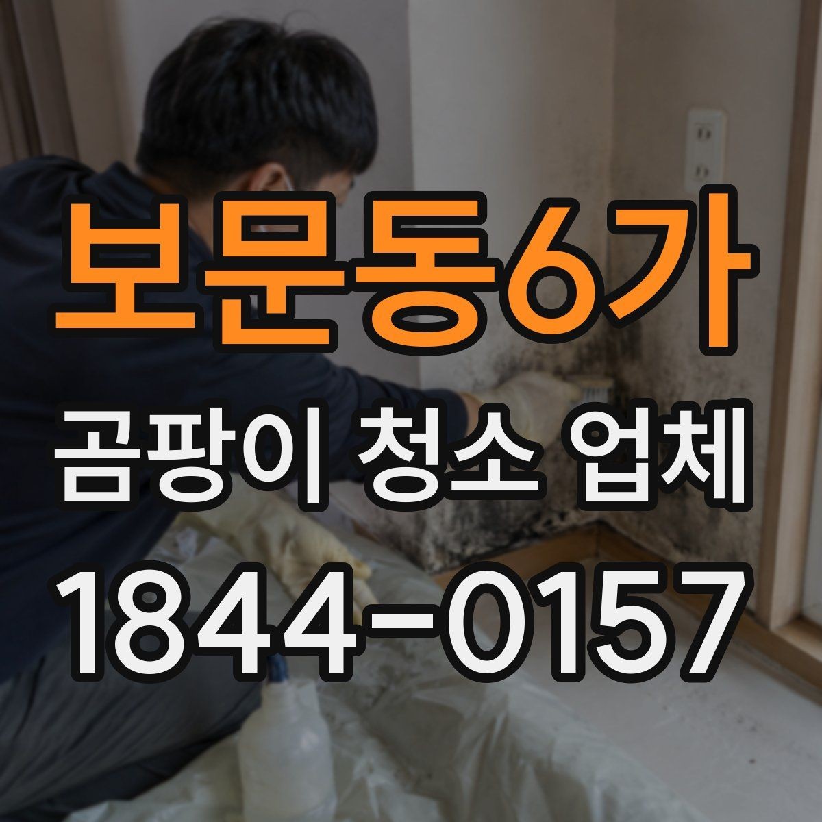 보문동6가 곰팡이 청소 업체 예약 후 준비해야 할 사항