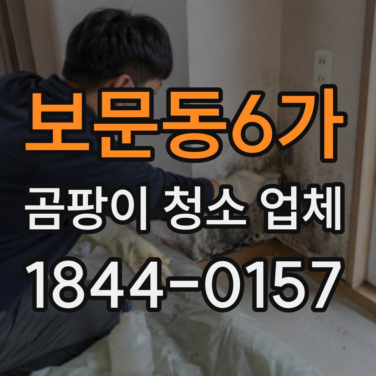 보문동6가 곰팡이 청소 업체