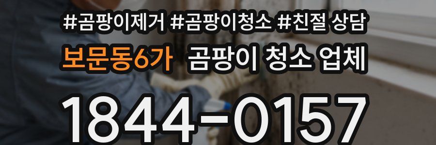 보문동6가 곰팡이 청소 업체