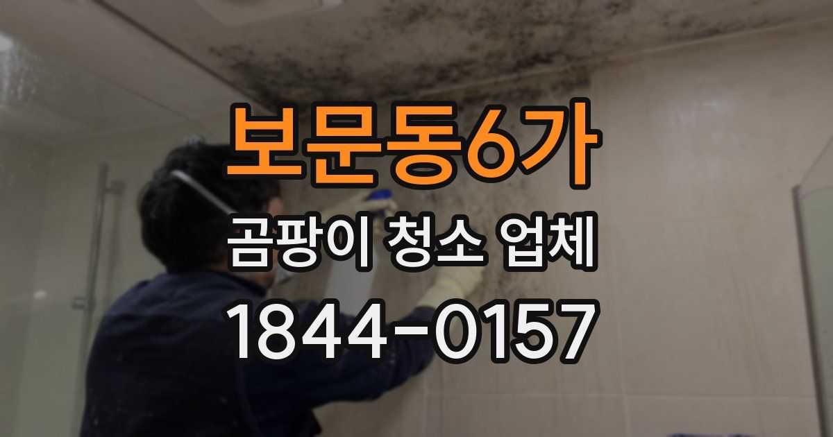 보문동6가 곰팡이 청소 업체