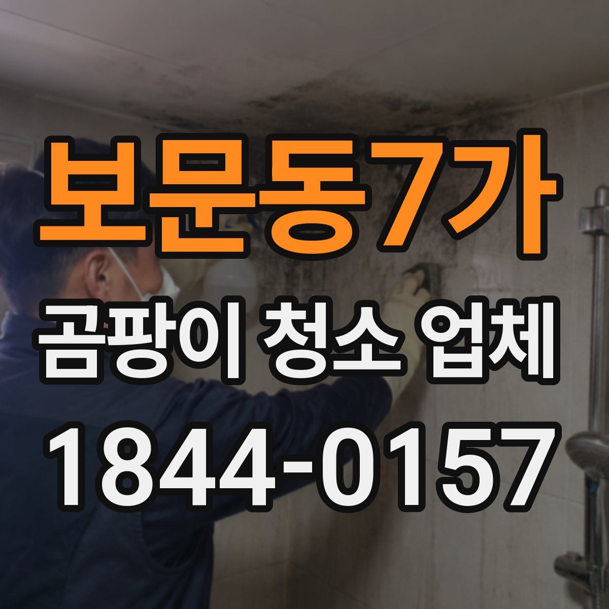 보문동7가 곰팡이 청소 업체