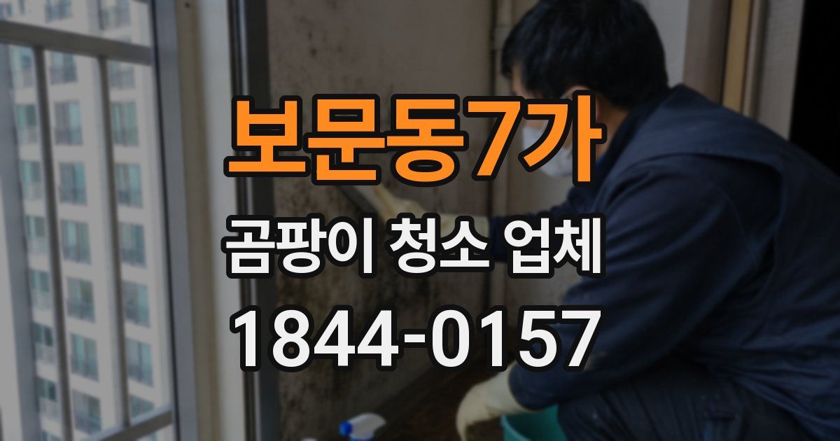 보문동7가 곰팡이 청소 업체