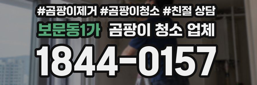 보문동1가 곰팡이 청소 업체
