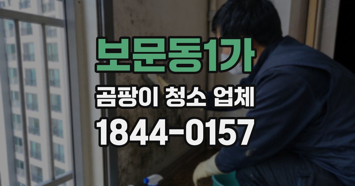 보문동1가 곰팡이 청소 업체