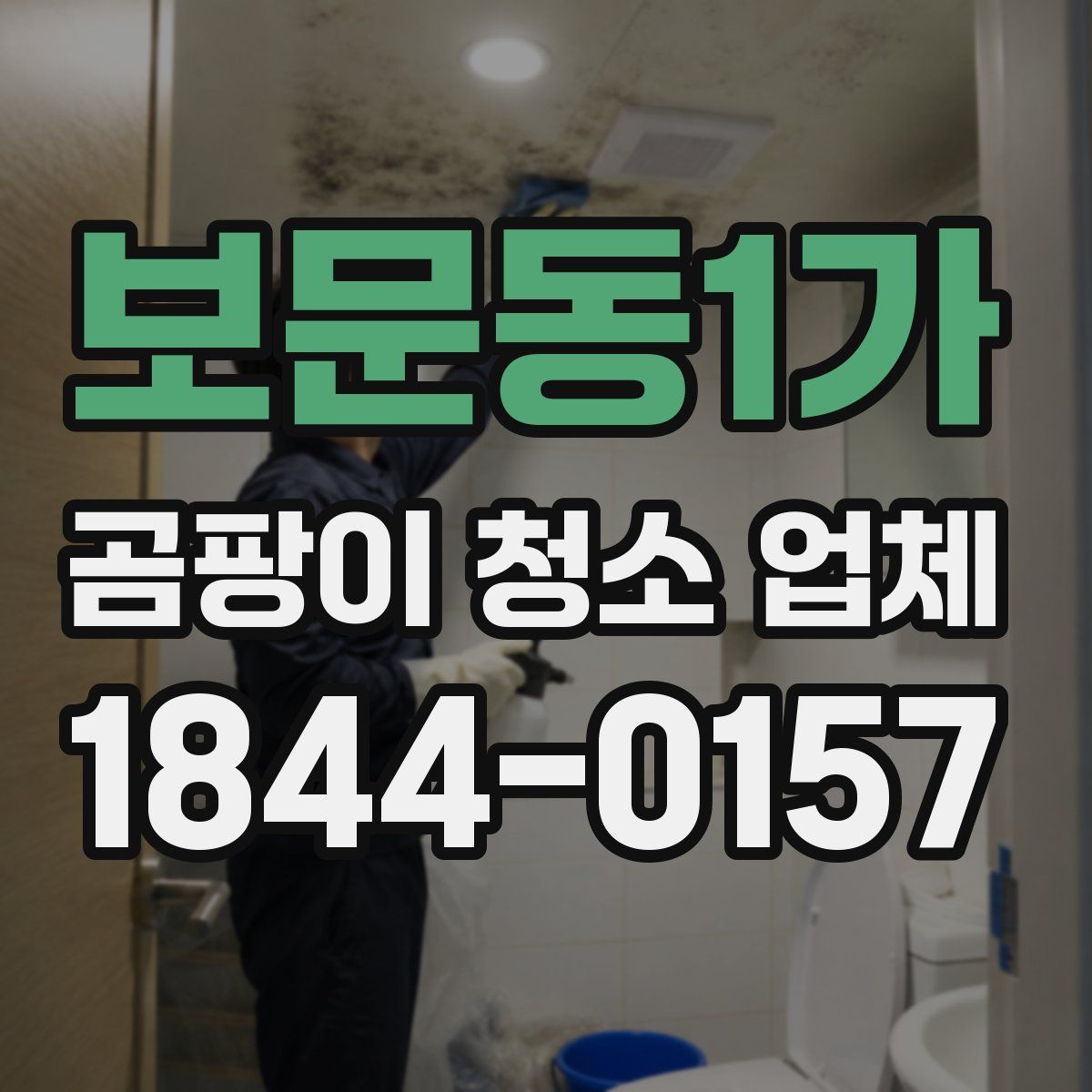 보문동1가 곰팡이 청소 업체