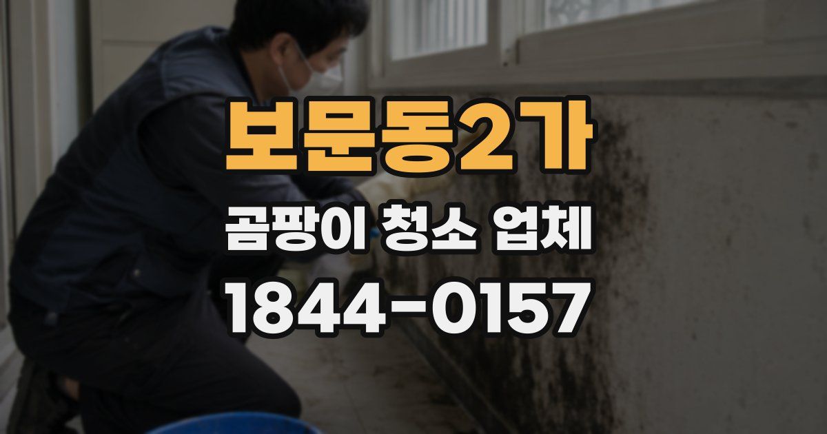 보문동2가 곰팡이 청소 업체