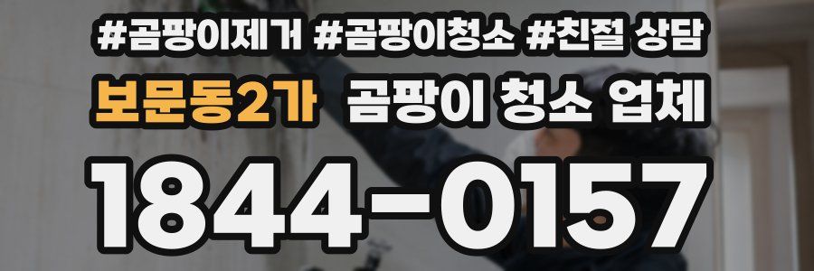 보문동2가 곰팡이 청소 업체