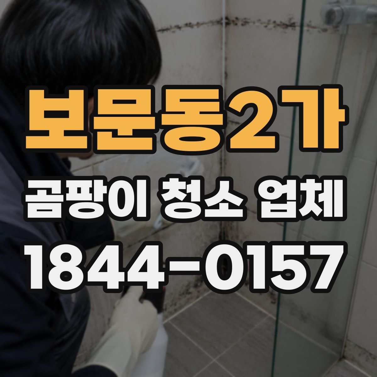 보문동2가 곰팡이 청소 업체
