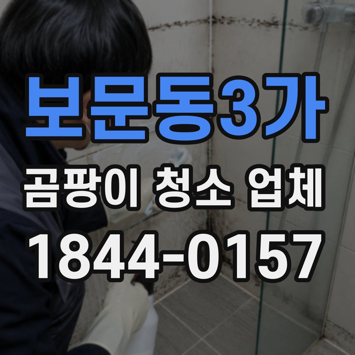 보문동3가 곰팡이 청소 업체