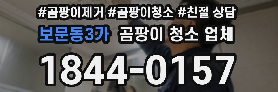 보문동3가 곰팡이 청소 업체