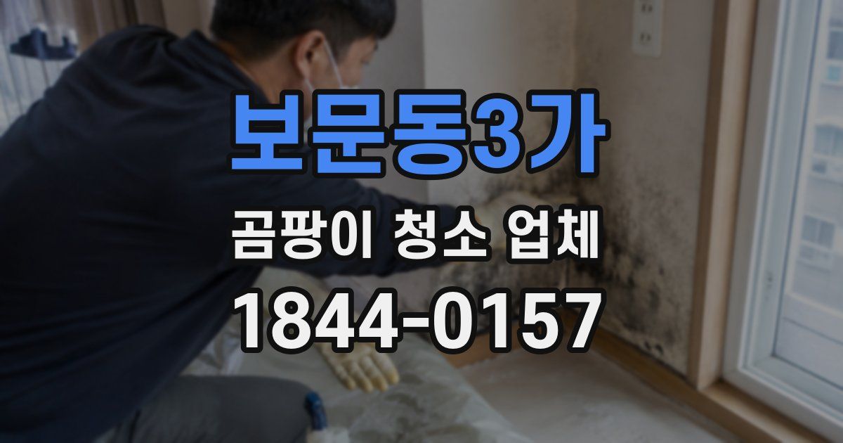 보문동3가 곰팡이 청소 업체