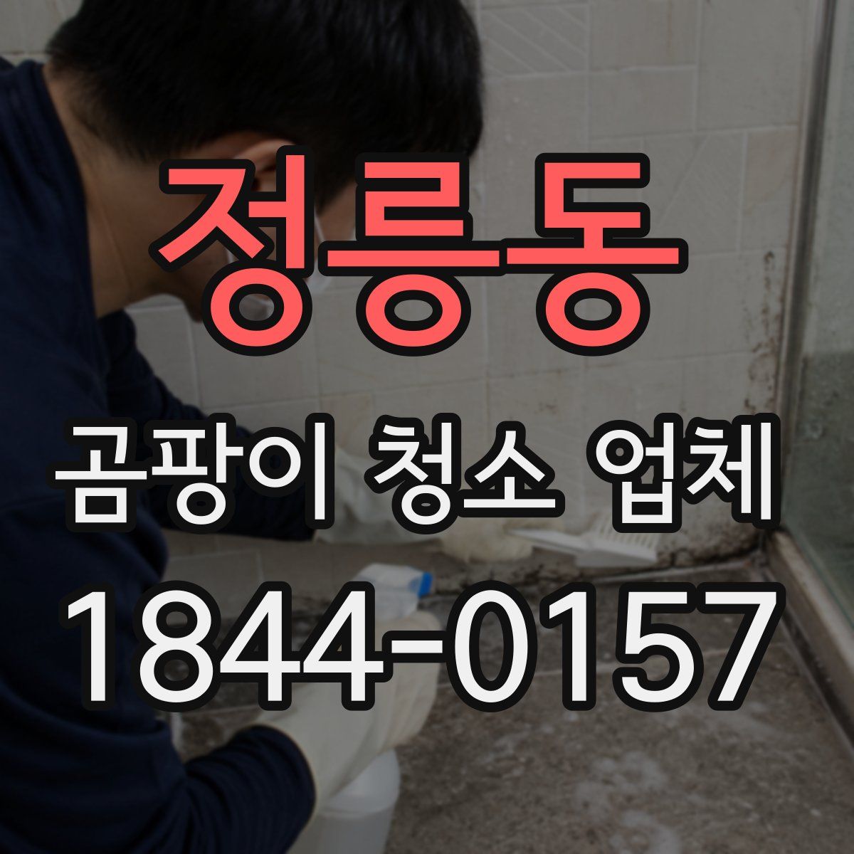 정릉동 곰팡이 청소 업체