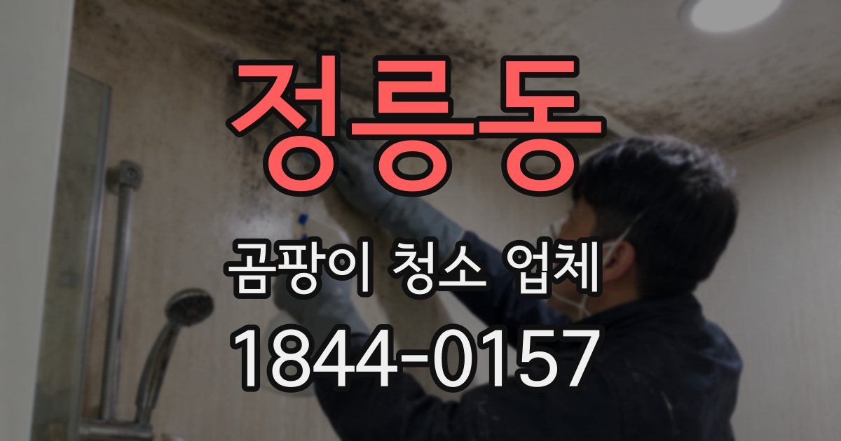 정릉동 곰팡이 청소 업체