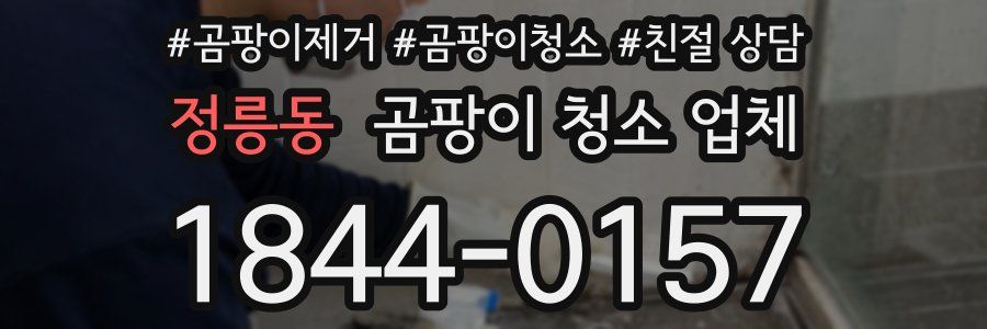 정릉동 곰팡이 청소 업체