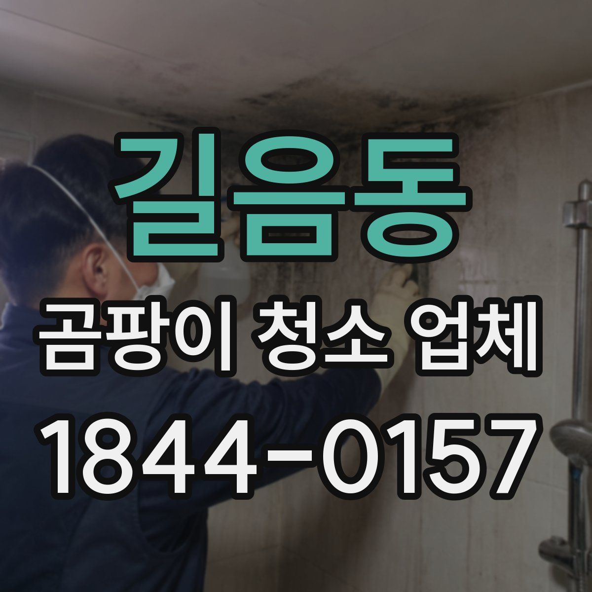 길음동 곰팡이 청소 업체