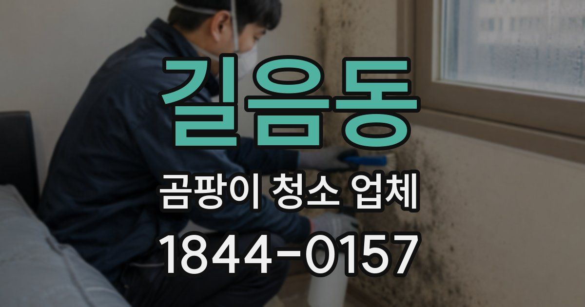 길음동 곰팡이 청소 업체
